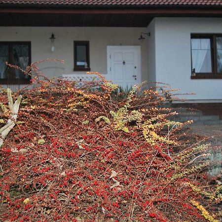 Pokoje Nad Mlynem Strykow Luaran gambar