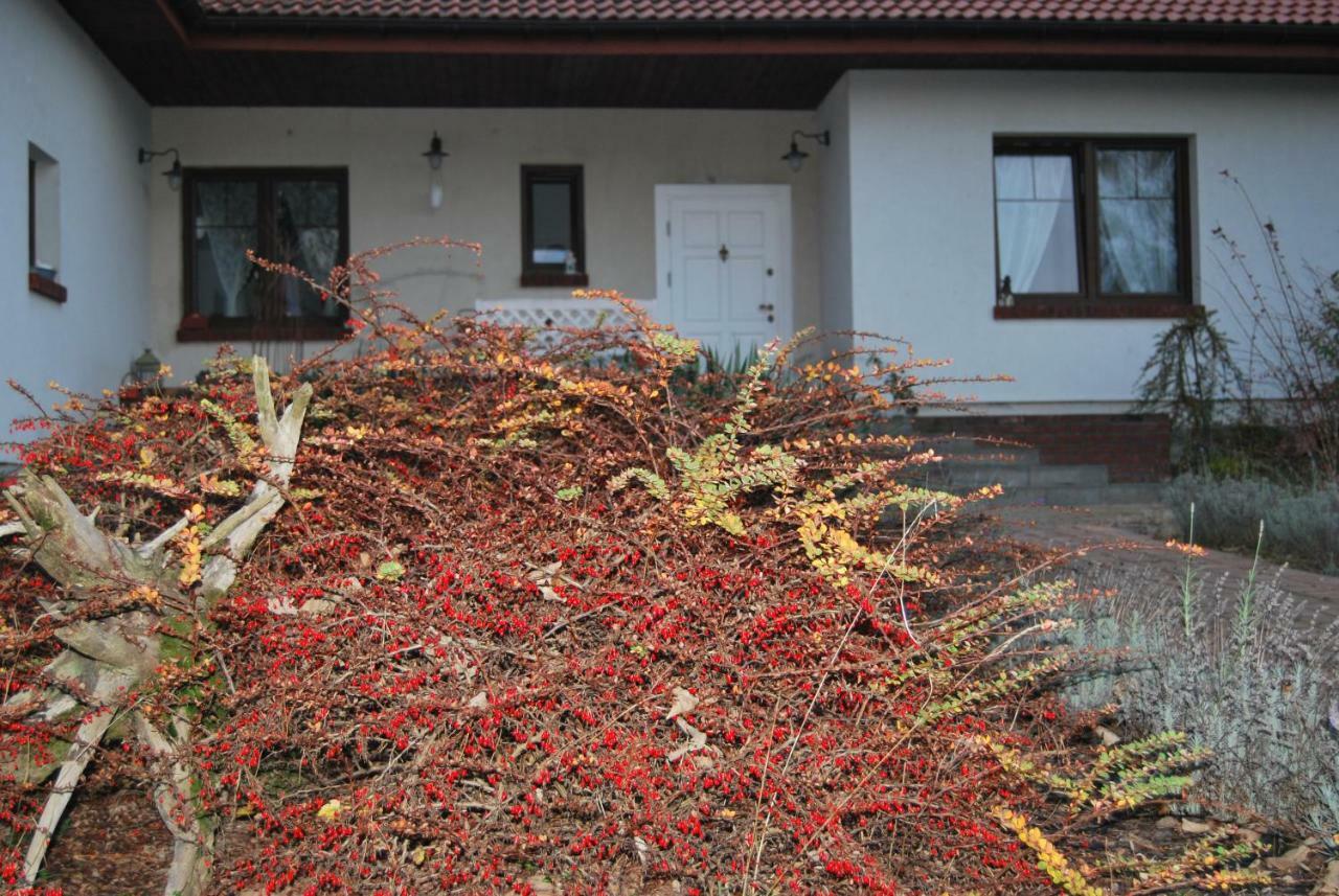 Pokoje Nad Mlynem Strykow Luaran gambar