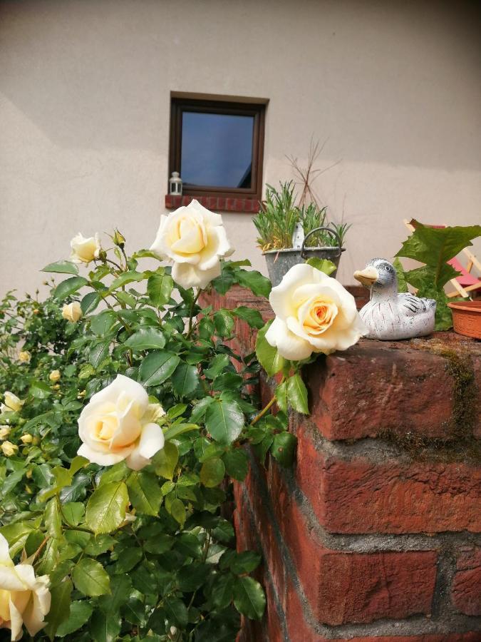 Pokoje Nad Mlynem Strykow Luaran gambar